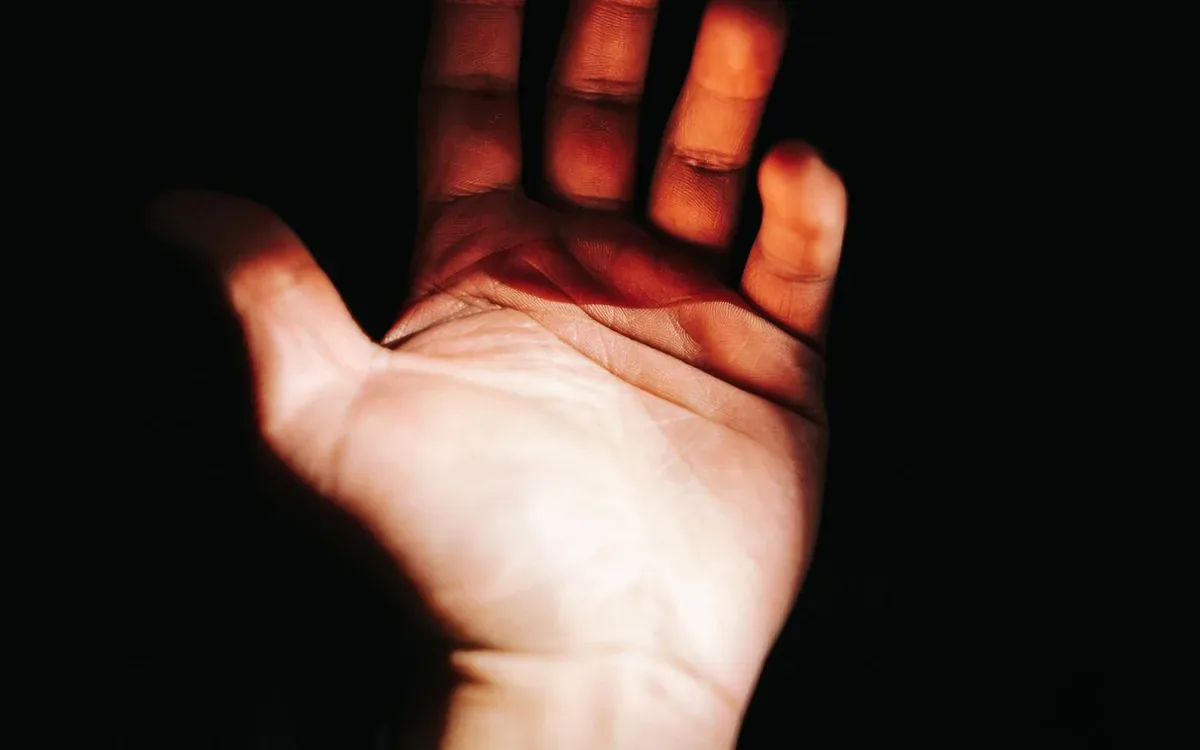 Contactless Palmprint Biometric Verification preview